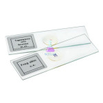 Animal Tissue Prepared Microscope Slide